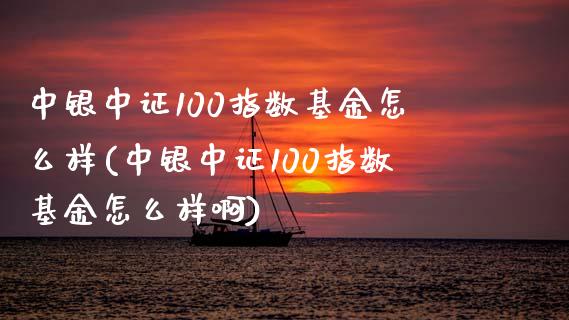 中银中证100指数基金怎么样(中银中证100指数基金怎么样啊)_https://www.londai.com_基金理财_第1张