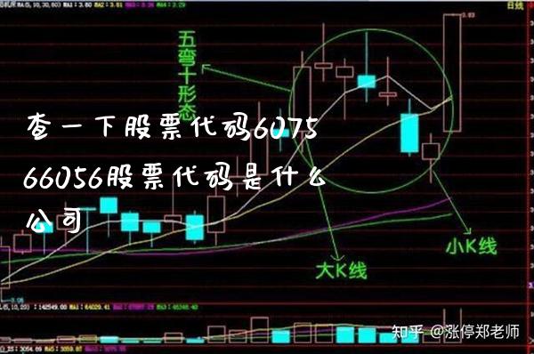 查一下股票代码6075 66056股票代码是什么公司_https://www.londai.com_股票投资_第1张