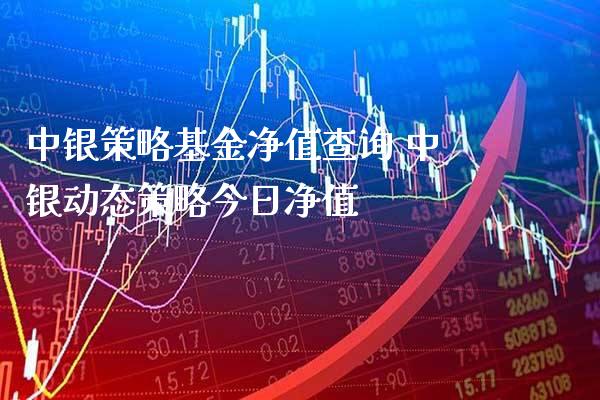 中银策略基金净值查询 中银动态策略今日净值_https://www.londai.com_基金理财_第1张