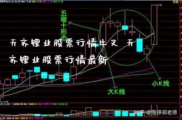 天齐锂业股票行情牛叉 天齐锂业股票行情最新_https://www.londai.com_股票投资_第1张