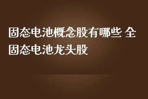 固态电池概念股有哪些 全固态电池龙头股_https://www.londai.com_股票投资_第1张