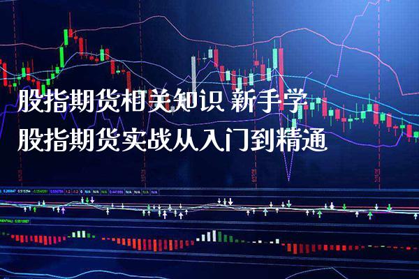 股指期货相关知识 新手学股指期货实战从入门到精通_https://www.londai.com_期货投资_第1张