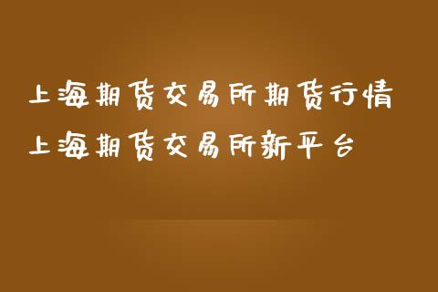 上海期货交易所期货行情 上海期货交易所新平台_https://www.londai.com_期货投资_第1张