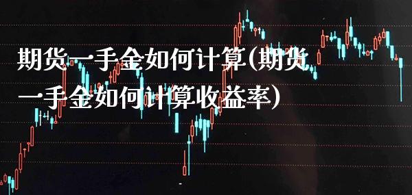 期货一手金如何计算(期货一手金如何计算收益率)_https://www.londai.com_期货投资_第1张