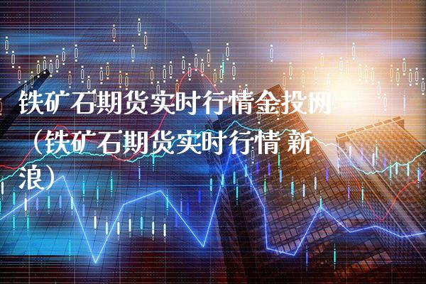 铁矿石期货实时行情金投网（铁矿石期货实时行情 新浪）_https://www.londai.com_期货投资_第1张