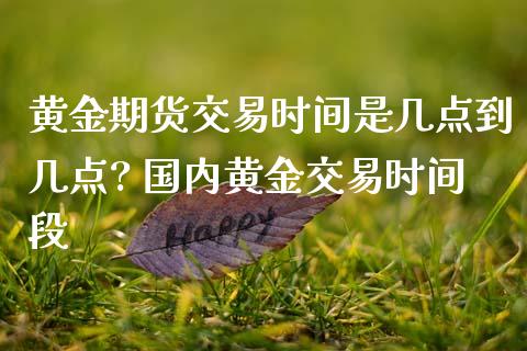 黄金期货交易时间是几点到几点? 国内黄金交易时间段_https://www.londai.com_期货投资_第1张