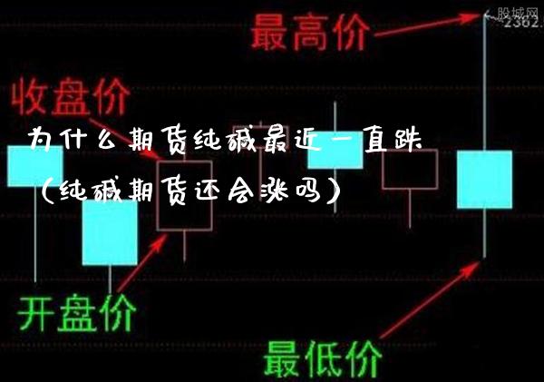 为什么期货纯碱最近一直跌（纯碱期货还会涨吗）_https://www.londai.com_期货投资_第1张