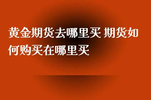 黄金期货去哪里买 期货如何购买在哪里买_https://www.londai.com_期货投资_第1张