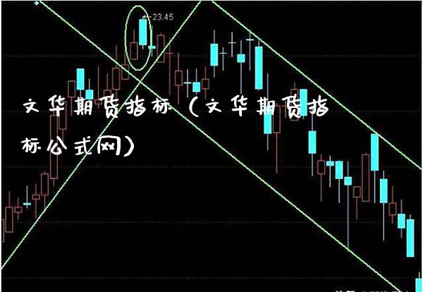 文华期货指标（文华期货指标公式网）_https://www.londai.com_期货投资_第1张