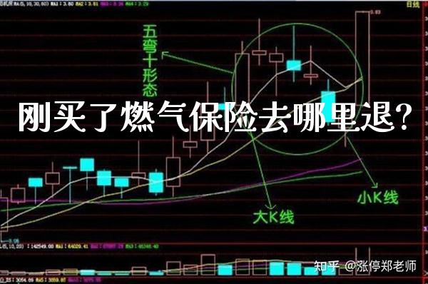 刚买了燃气保险去哪里退?_https://www.londai.com_保险理财_第1张