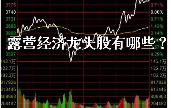 露营经济龙头股有哪些？_https://www.londai.com_股票投资_第1张