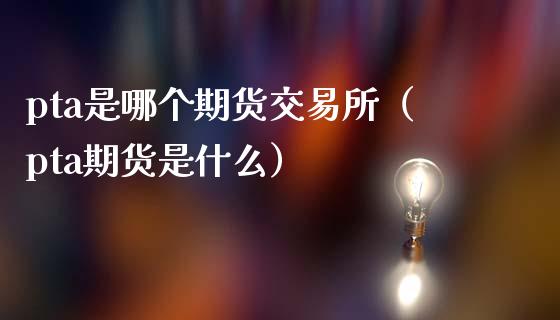 pta是哪个期货交易所（pta期货是什么）_https://www.londai.com_期货投资_第1张