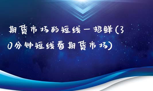 期货市场的短线一招鲜(30分钟短线看期货市场)_https://www.londai.com_期货投资_第1张