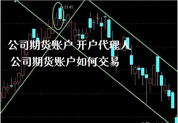 公司期货账户 开户代理人 公司期货账户如何交易_https://www.londai.com_期货投资_第1张