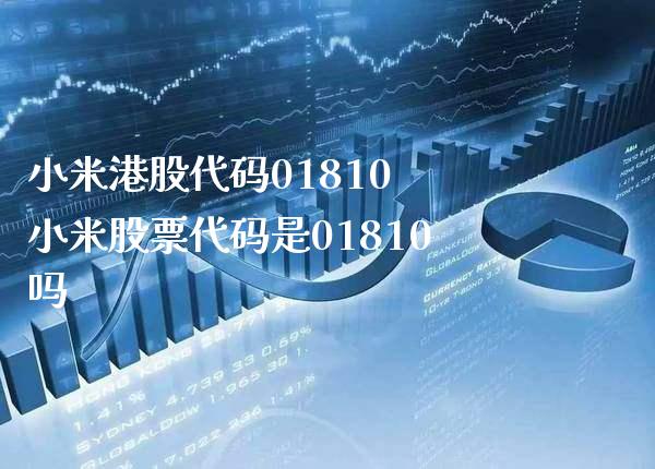 小米港股代码01810 小米股票代码是01810吗_https://www.londai.com_股票投资_第1张