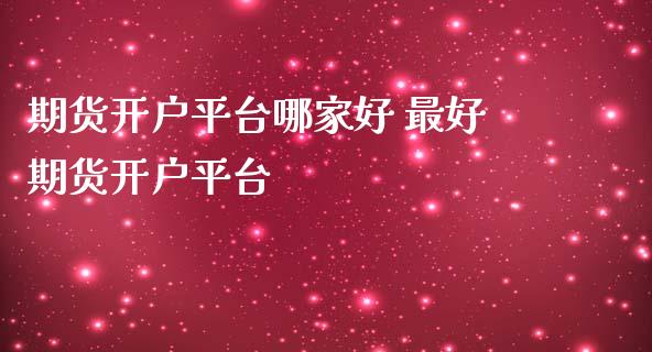 期货开户平台哪家好 最好期货开户平台_https://www.londai.com_期货投资_第1张