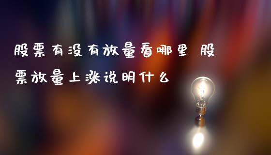 股票有没有放量看哪里 股票放量上涨说明什么_https://www.londai.com_股票投资_第1张