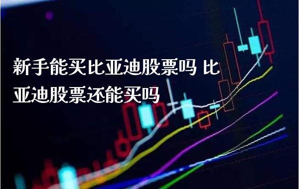 新手能买比亚迪股票吗 比亚迪股票还能买吗_https://www.londai.com_股票投资_第1张