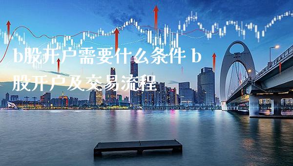 b股开户需要什么条件 b股开户及交易流程_https://www.londai.com_股票投资_第1张