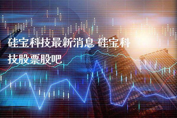 硅宝科技最新消息 硅宝科技股票股吧_https://www.londai.com_股票投资_第1张