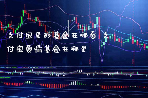 支付宝里的基金在哪看 支付宝爱情基金在哪里_https://www.londai.com_基金理财_第1张