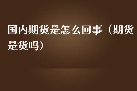 国内期货是怎么回事（期货是货吗）_https://www.londai.com_期货投资_第1张